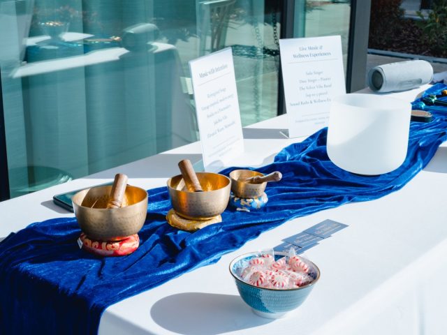 Brass and crystal singing bowls on a blue velvet runner at a Velvet Vibe wellness event